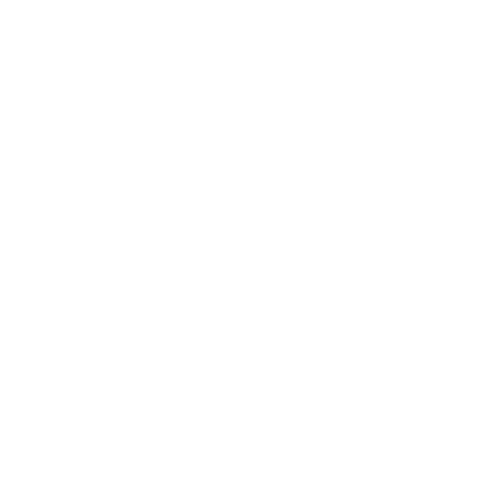 NG+
