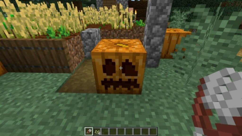 jogando minecraft acabei de achar uma abobora do nada momento istorico  kkkkkkkkkkkkkkkkkk