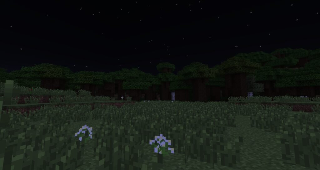 minecraft dia 2