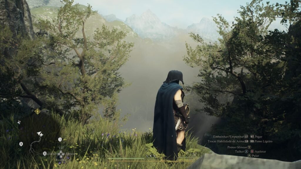 Review de performance Dragon's Dogma