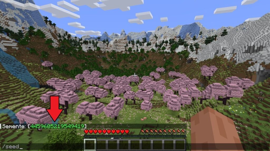 como visualizar a seed